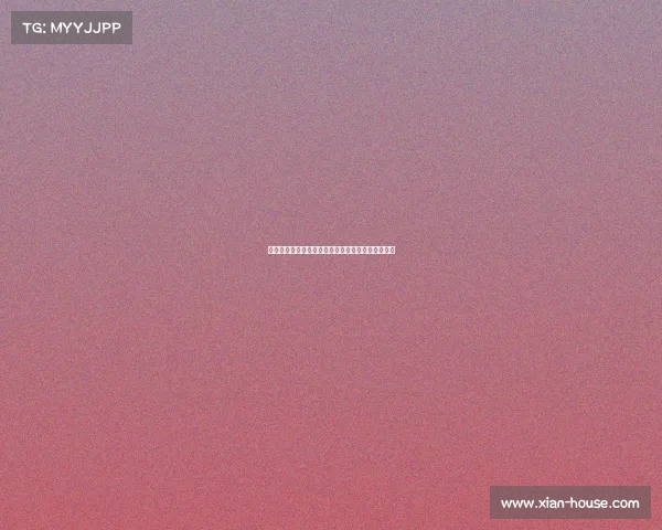 深入剖析赛事成绩数据揭示表现趋势与未来展望报告